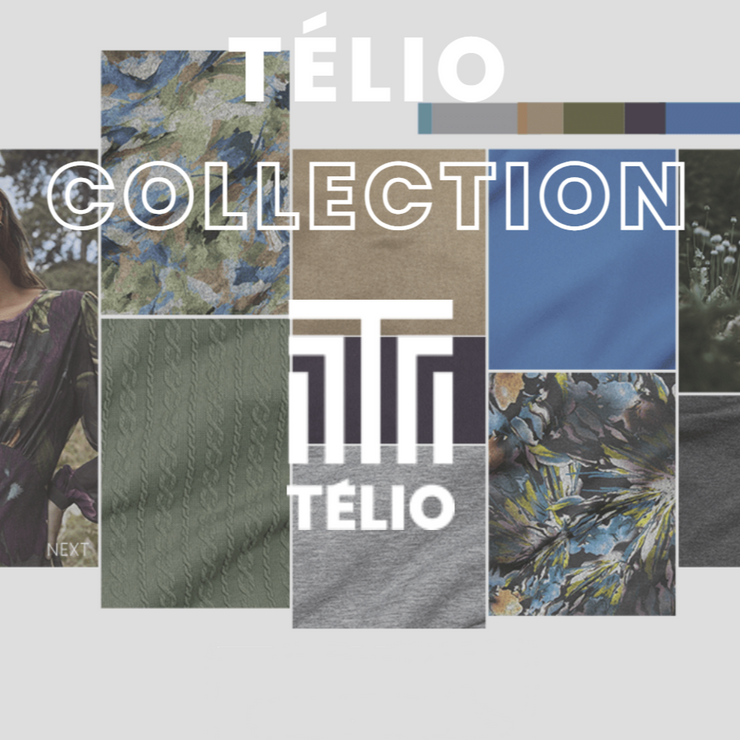 Telio networking event share